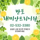 단지내으뜸공인중개사사무소 | [공지] 래미안 트리니원 사전점검이 끝났습니다. 지금 소유주들이 가장 많이 고민하는 것은?