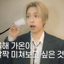 웃게해줄개 이미지