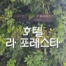 후쿠오카 호텔 라 포레스타 바이 리그나 HOTEL LA FORESTA by RIGNA(내돈내산 후기, 하카타역, 조식)