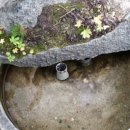 북상면횟집 이미지