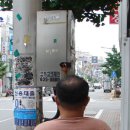 주정차단속-130 이미지