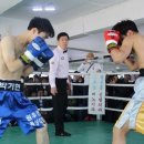 프로체육관 이미지