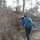 군장목장 이미지