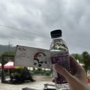 레일바이크 | 춘천 가볼만한 곳 '김유정 레일바이크' 후기 예약방법 가격