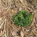 동훈농장 이미지