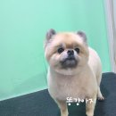 가위공쥬 이미지