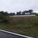 성읍리-1 이미지