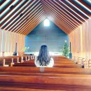 서귀포교회 | 서귀포 방주교회 위치 건축가 카페 예배 방문 후기