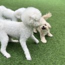 즐거운유치원 이미지