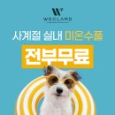 위클라드 커플 풀빌라 이미지