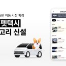 와이즈펫 주식회사 비석세스
