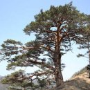동아울진영덕