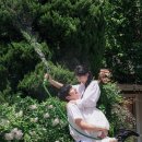 디하우스 이미지