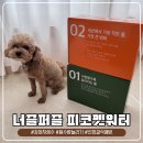 강아지 음수량 늘리기 성공! 신장결석 예방하는 피코 펫워터 2주 급여 후기
