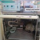 한솔동물병원 이미지