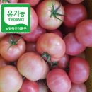 유기농 찰토마토 50% 맛보기 이벤트 이미지