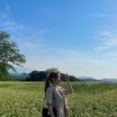 에일린게스트하우스 이미지