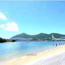 장도 Daum카페