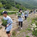 동향초등학교 이미지