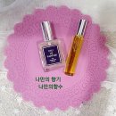 마음지기 자민 네이버블로그