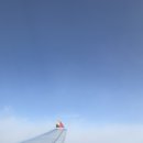 우진민박 | 임산부 제주여행/제주 스타빌/해비치 조식/아마 두바이쫀득쿠키