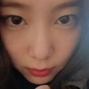 공지호 카카오 검색결과