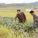 문덕농장 이미지