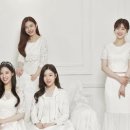 베리굿트래블 이미지