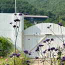 스테이밤밤 이미지