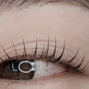 봉자속눈썹 이미지