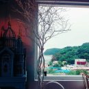 에스피에스타 이미지