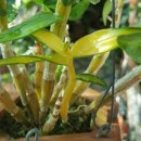 석곡농장 이미지