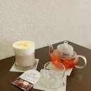 아치연 | 충남 서산 밤라떼 맛집 카페 추천_ ' 아치연 ' 후기 🦝🤍