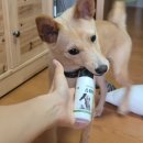 센바이오 네이버블로그