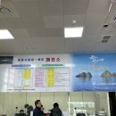2박 3일 울릉도 여행 일정 및 맛집, 독도 입도 성공기
