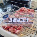울산 언양 맛집_언양 양꼬치 맛집 : 언양양고기