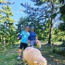 은사목장 이미지