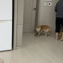 포토덤프 이게 일주일치 일기가 맞나요