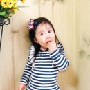 보림5호 이미지