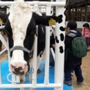 진주목장 이미지