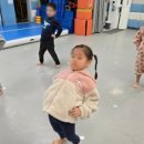 삼호(태권도) 이미지