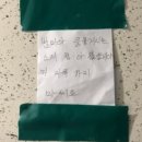 25년 2월 2-3주 내돈내산잘먹잘살았어 일기