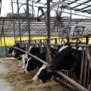 성효목장 이미지