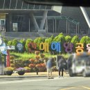 테마와 하루(해양생태 체험) 네이버블로그