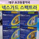 초코약국 이미지