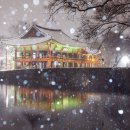 춘향이네 이미지