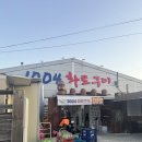 1004화로구이 | 광주 숯불향 제대로 나는 로컬 화로구이 맛집 솔직후기, 1004화로구이