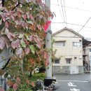 업무 | [Business] 업무후기, 쯔키지 집정리, 이사대행1/2