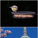 산촌사랑 | 산촌 체험 후기 자연과의 만남