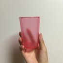 (주)크레이브푸드 | [스타벅스 여름MD] 핑크 크레이브 워터보틀 후기